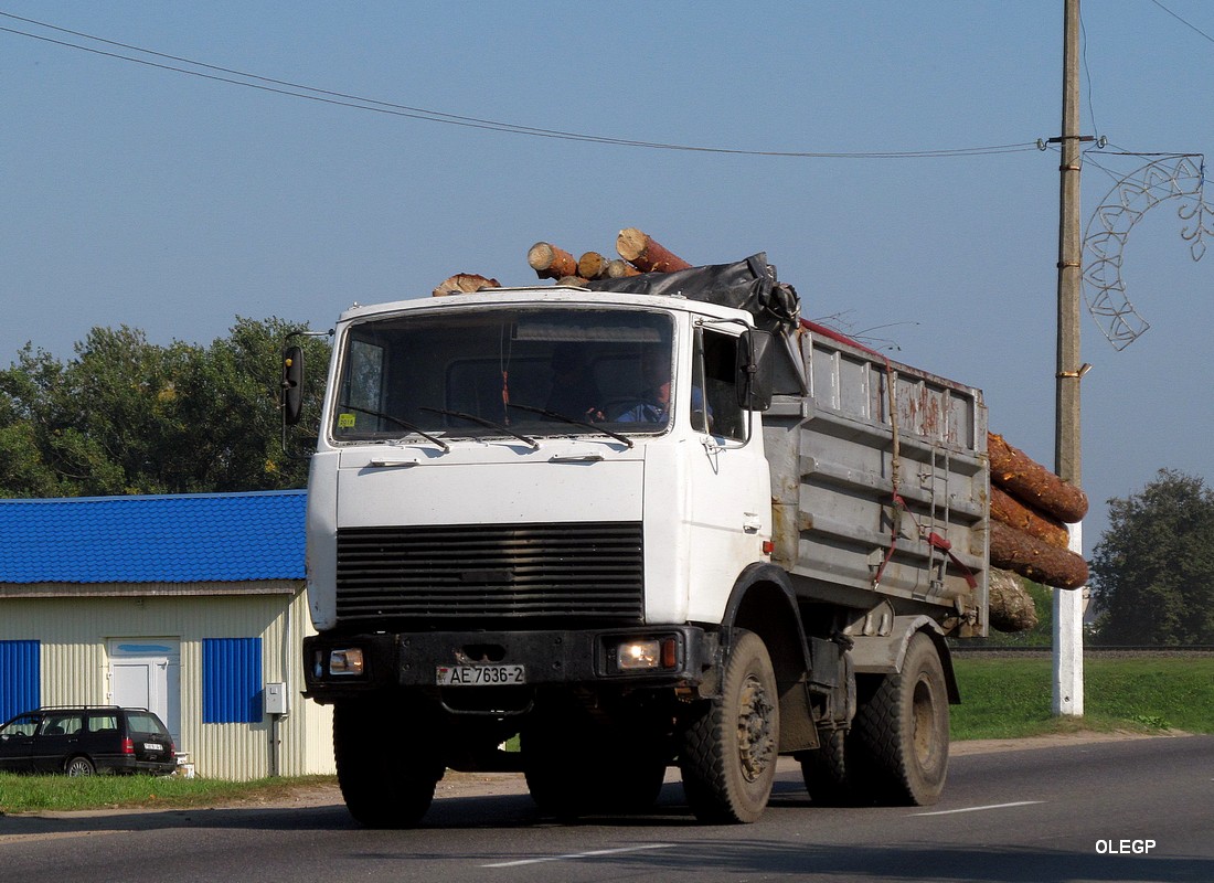 Витебская область, № АЕ 7636-2 — МАЗ-5551 (общая модель)