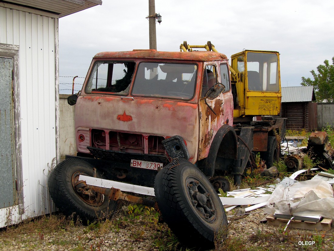 Витебская область, № ВМ 8730 — МАЗ-5334