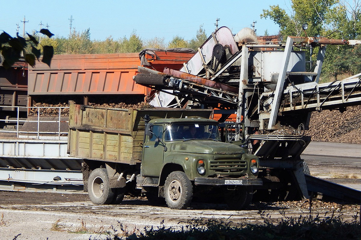 Белгородская область, № Е 262 КО 31 — ЗИЛ-495810