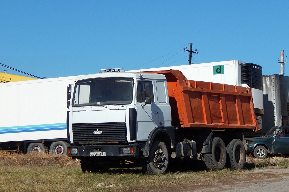 Белгородская область, № О 558 МВ 31 — МАЗ-5516 (общая модель)