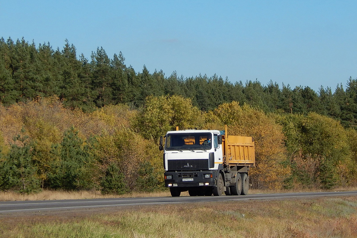 Воронежская область, № М 214 ЕХ 32 — МАЗ-6501A8