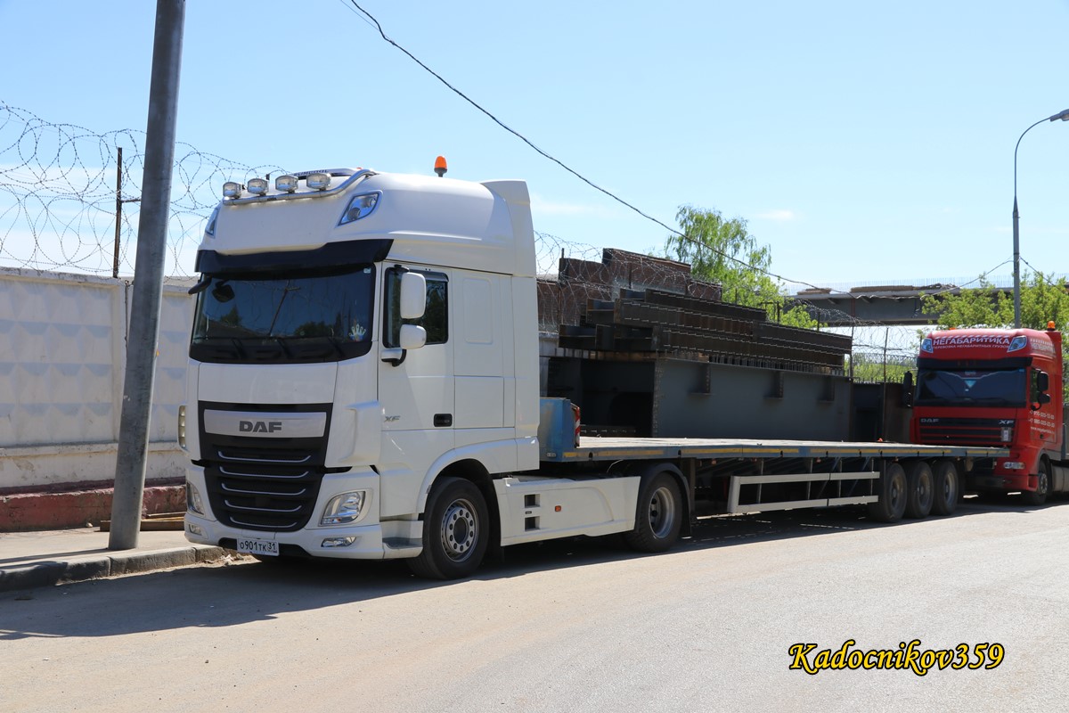 Белгородская область, № О 901 ТК 31 — DAF XF Euro6 FT