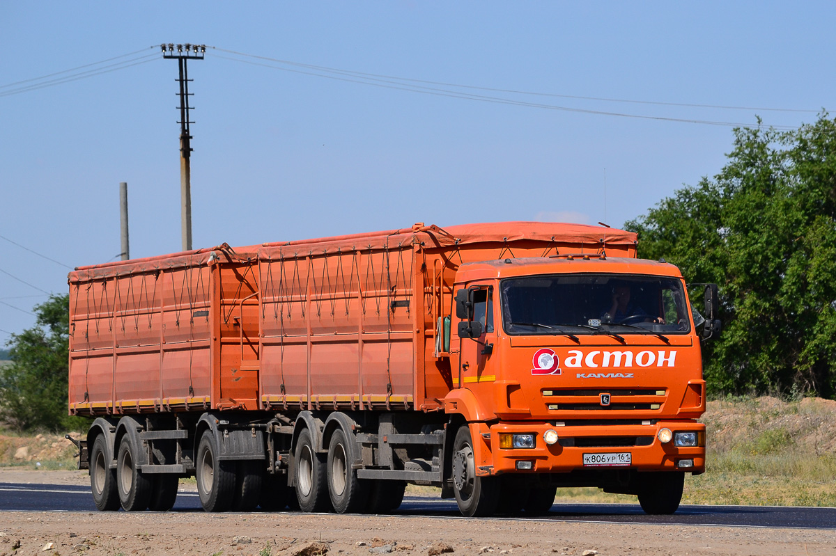 Ростовская область, № К 806 УР 161 — КамАЗ-65115 (общая модель)