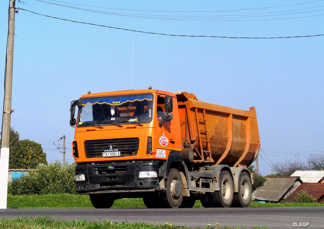 Витебская область, № АІ 6391-2 — МАЗ-6501 (общая модель)