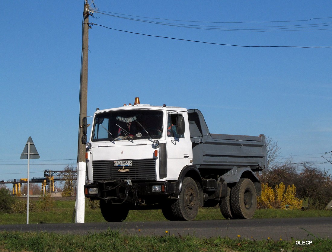 Витебская область, № АВ 1855-2 — МАЗ-5551 (общая модель)