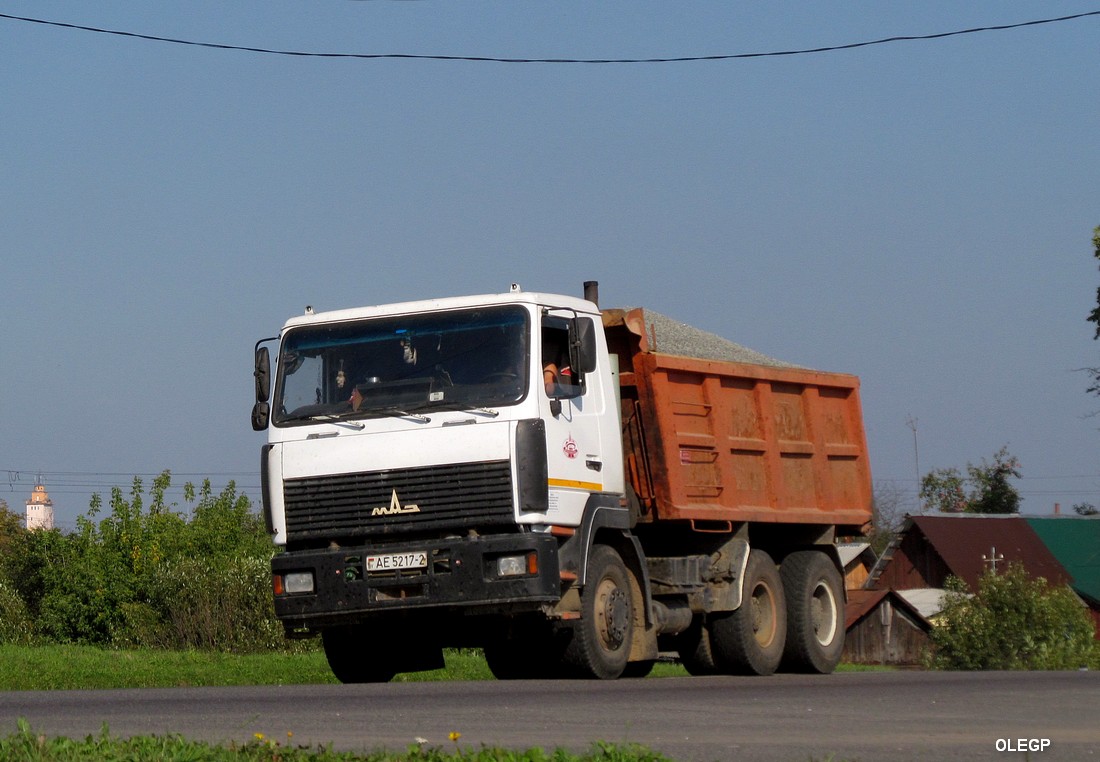 Витебская область, № АЕ 5217-2 — МАЗ-6501 (общая модель)