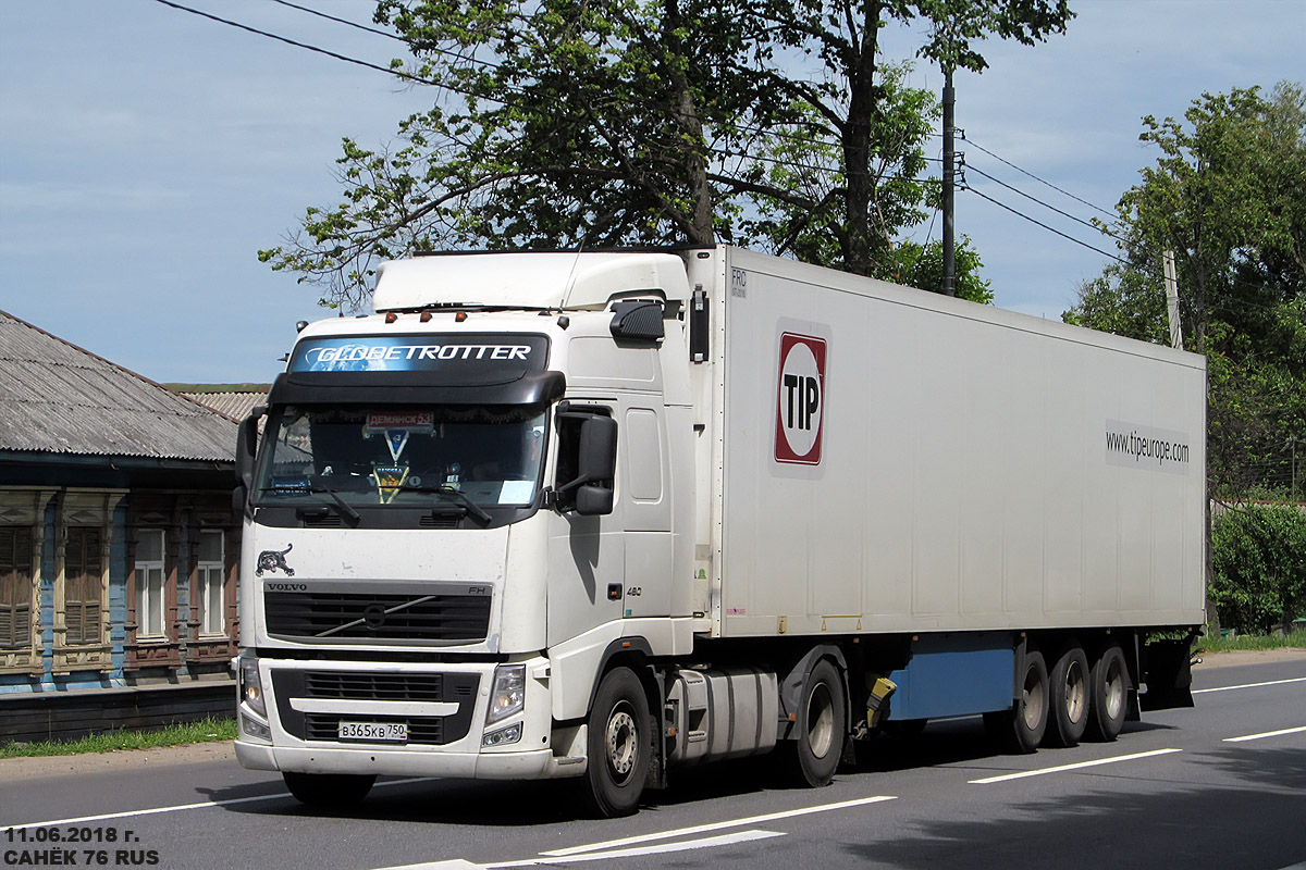 Московская область, № В 365 КВ 750 — Volvo ('2008) FH.460