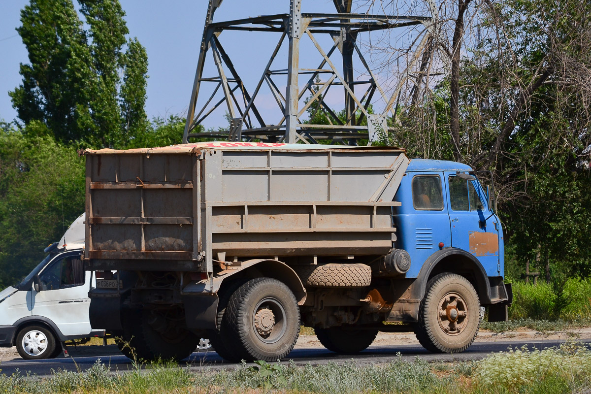 Волгоградская область, № Р 036 РО 34 — МАЗ-5549