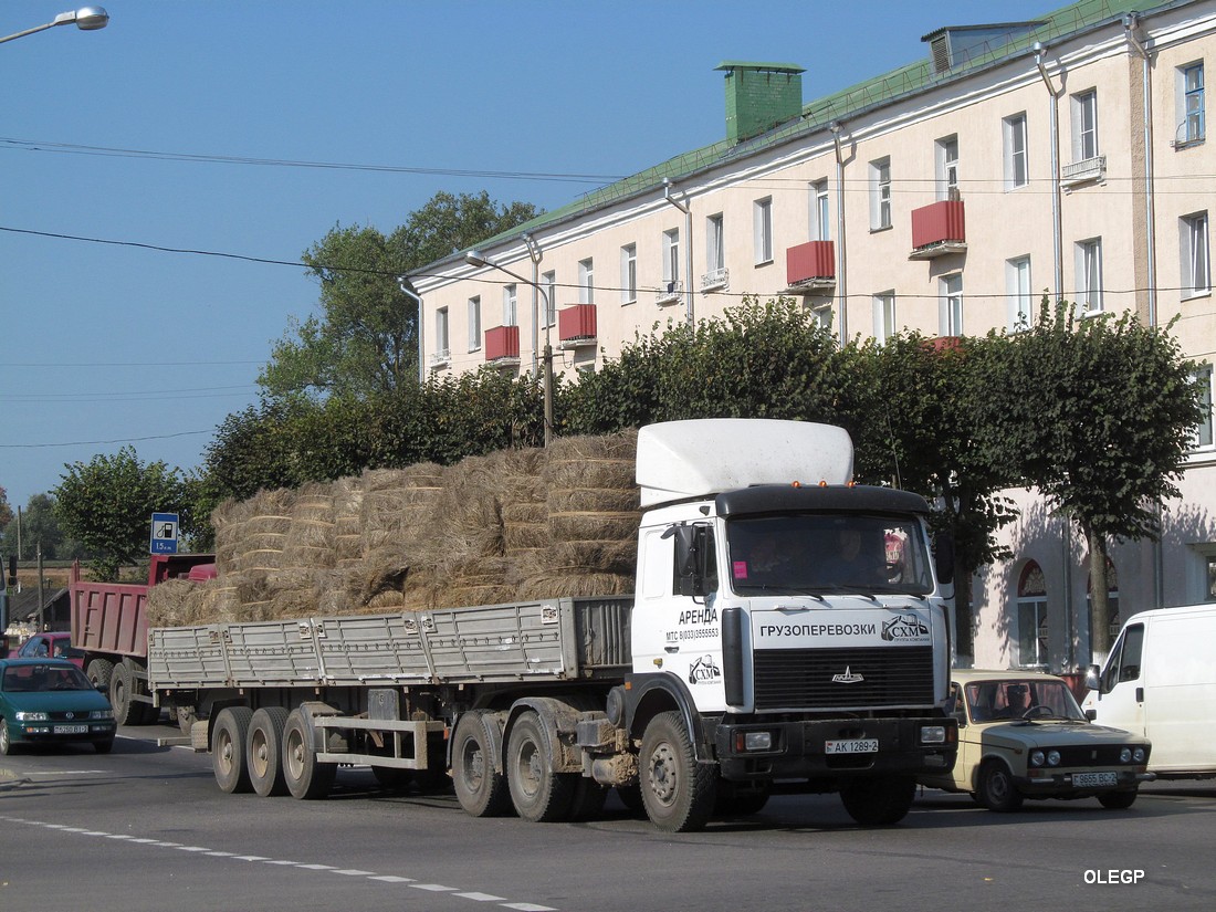 Витебская область, № АК 1289-2 — МАЗ-6422 (общая модель)