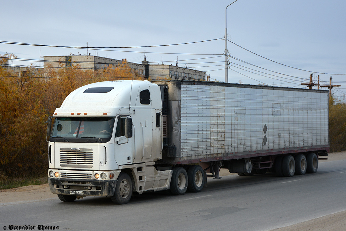 Приморский край, № Н 403 АХ 125 — Freightliner Argosy