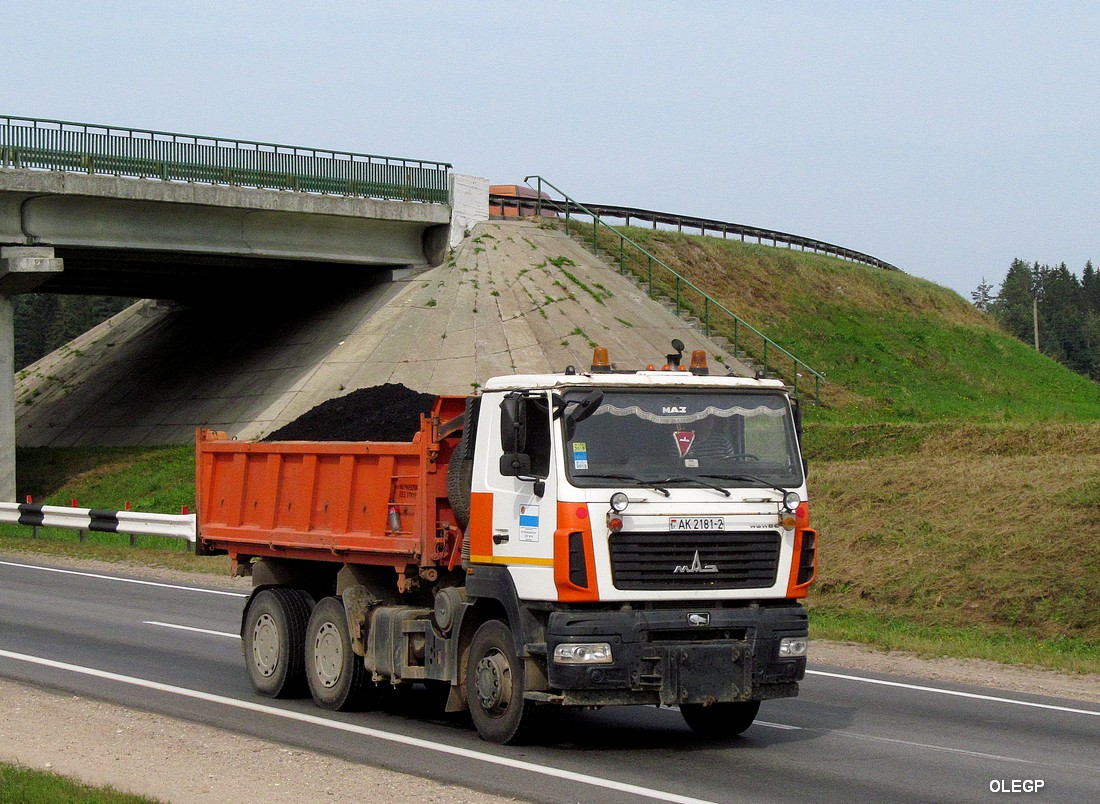 Витебская область, № АК 2181-2 — МАЗ-6501 (общая модель)