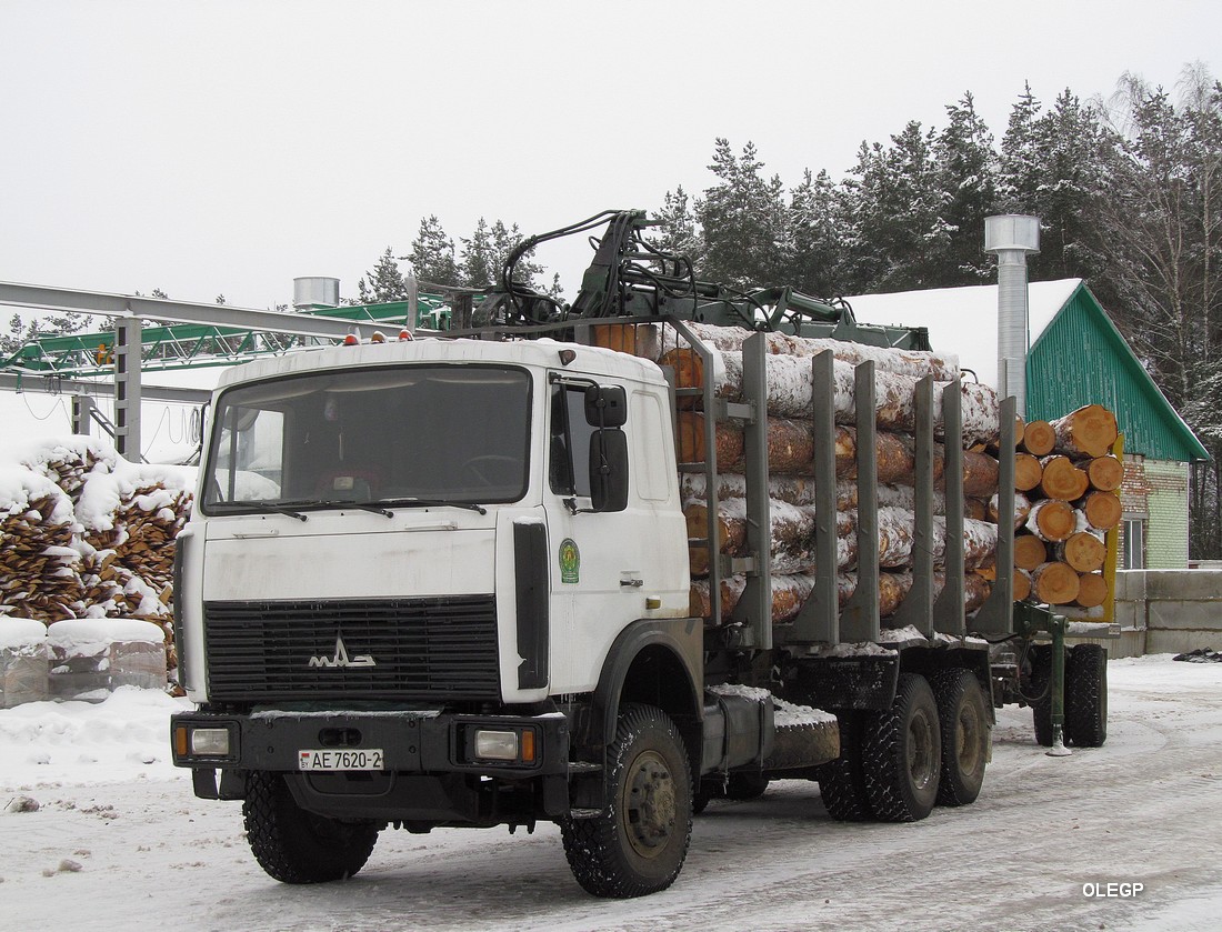 Витебская область, № АЕ 7620-2 — МАЗ-6317 (общая модель)