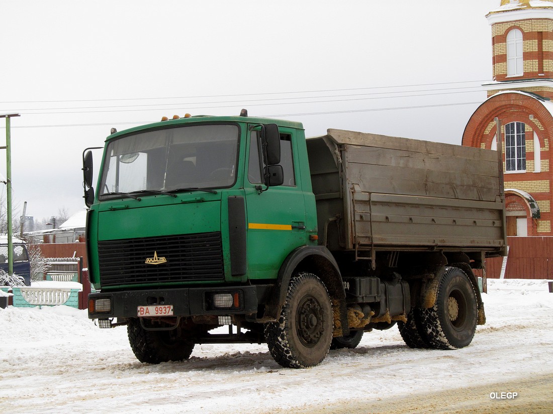 Витебская область, № ВА 9937 — МАЗ-5551 (общая модель)