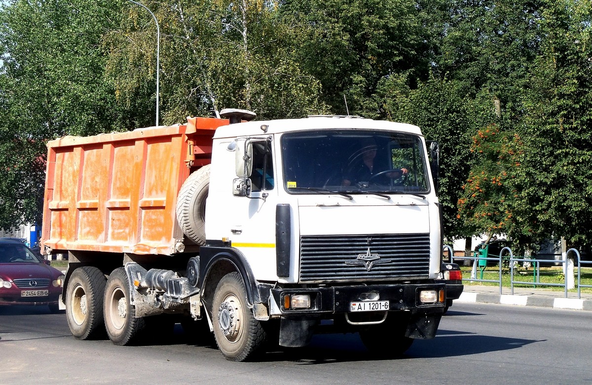 Могилёвская область, № АІ 1201-6 — МАЗ-5516 (общая модель)
