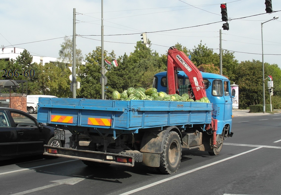 Венгрия, № BSL-381 — IFA W50L/L