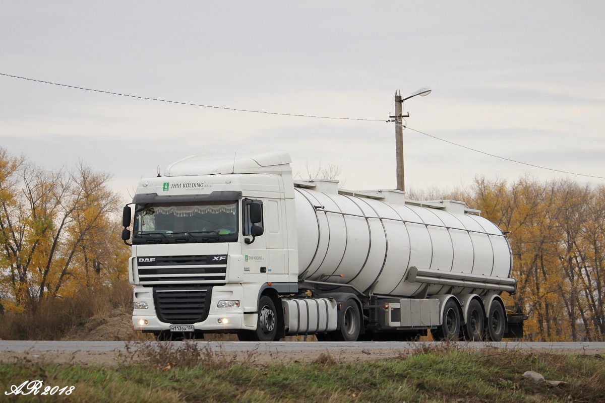 Воронежская область, № М 113 ВА 136 — DAF XF105 FT