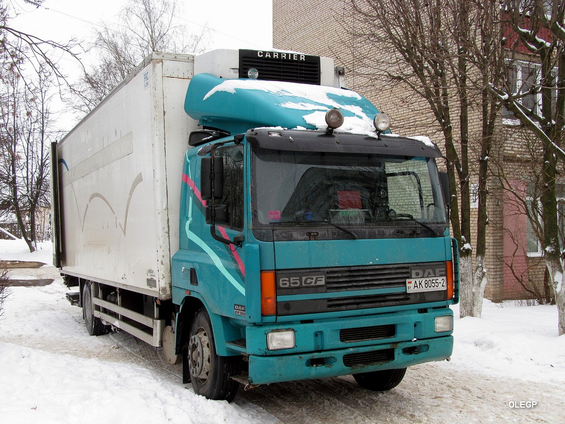 Витебская область, № АК 8055-2 — DAF CF65/75/85 (общая модель)