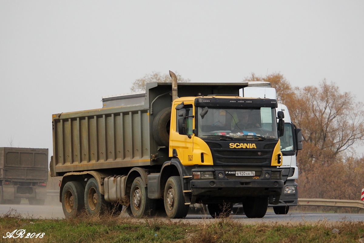 Воронежская область, № Е 920 ХА 36 — Scania ('2011) P440