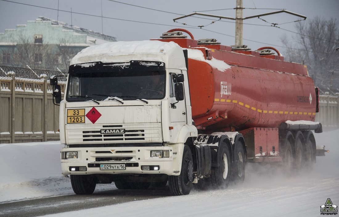 Восточно-Казахстанская область, № 029 NTA 16 — КамАЗ-6460 [646000]