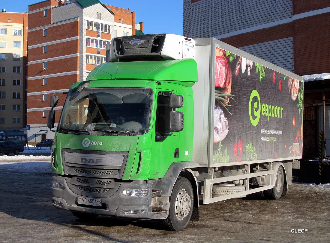 Минская область, № АС 4954-5 — DAF LF Euro6 FA