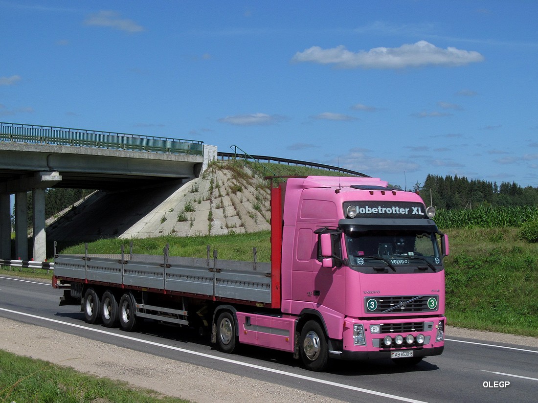 Могилёвская область, № АВ 8530-6 — Volvo ('2002) FH12.420