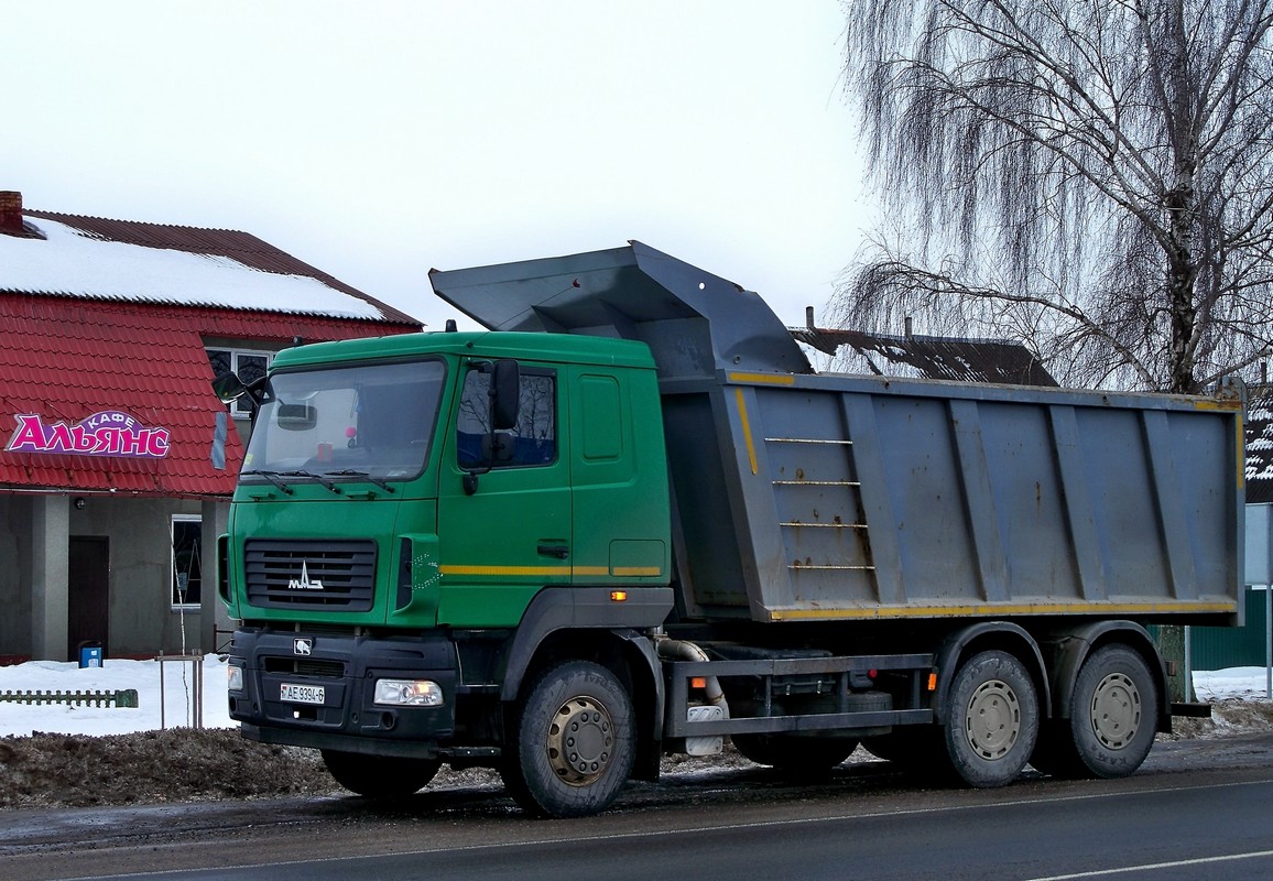 Могилёвская область, № АЕ 9394-6 — МАЗ-6501 (общая модель)