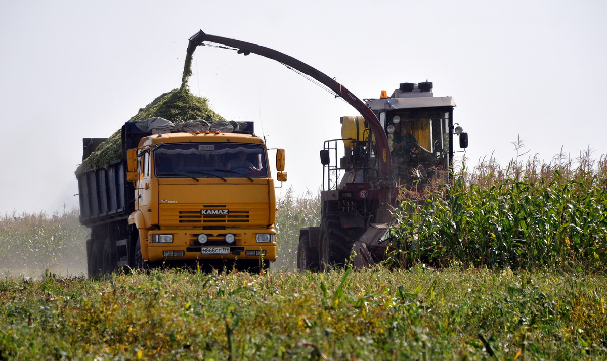 Рязанская область, № М 868 СТ 199 — КамАЗ-65115-15 [65115R]