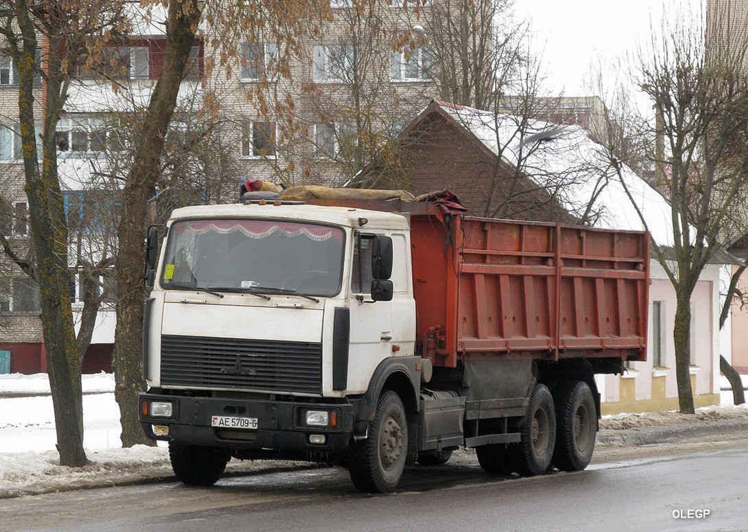 Могилёвская область, № АЕ 5709-6 — МАЗ-5516 (общая модель)