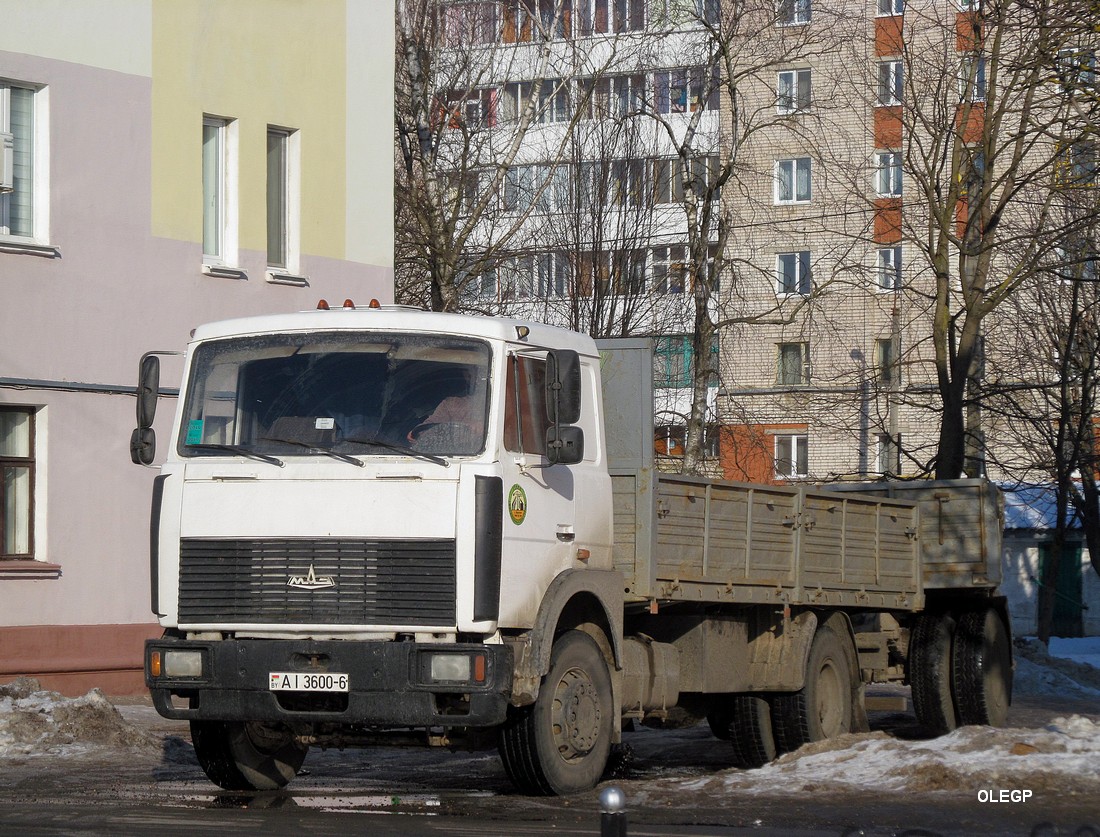 Могилёвская область, № АІ 3600-6 — МАЗ-533603