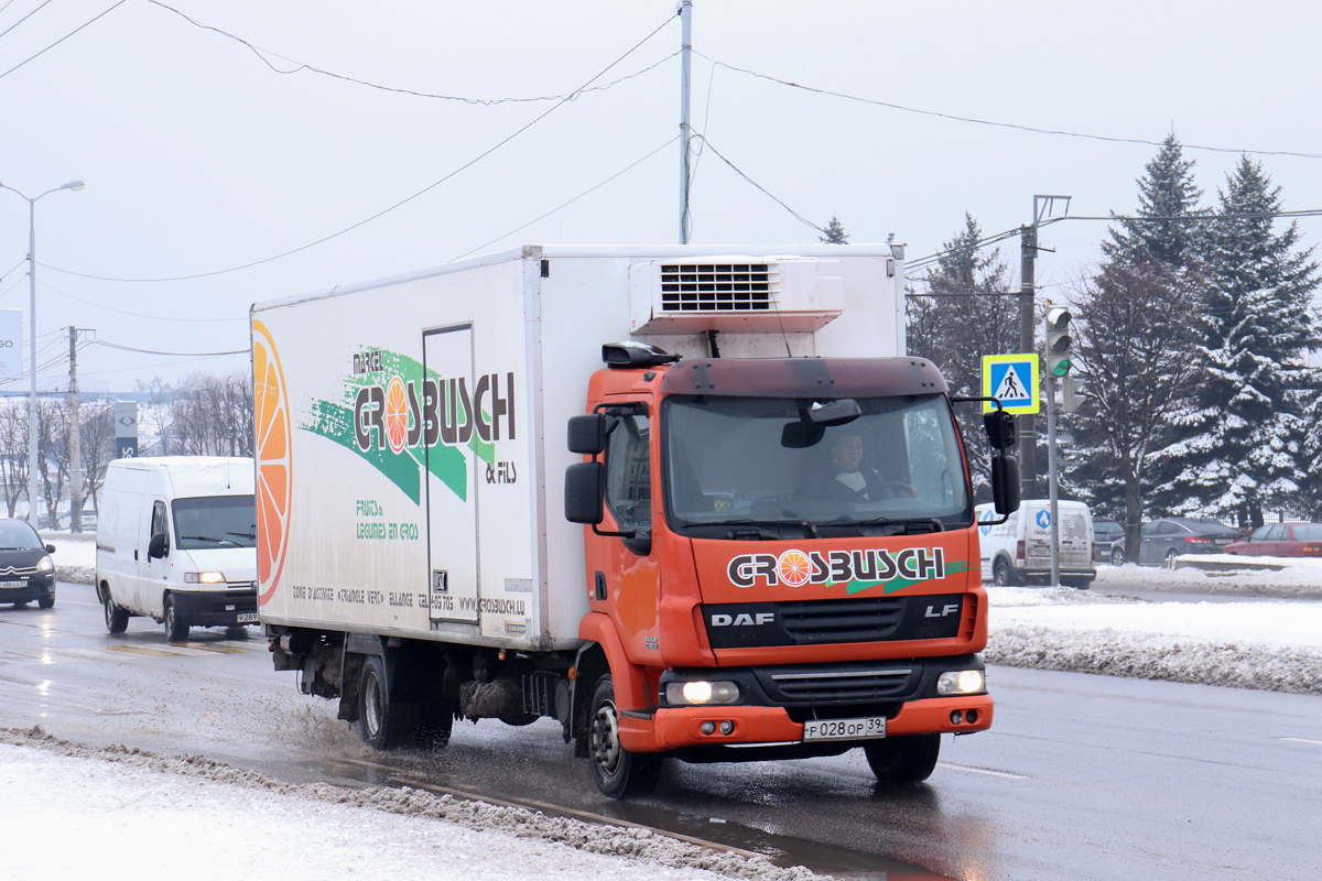 Калининградская область, № Р 028 ОР 39 — DAF LF45 FA