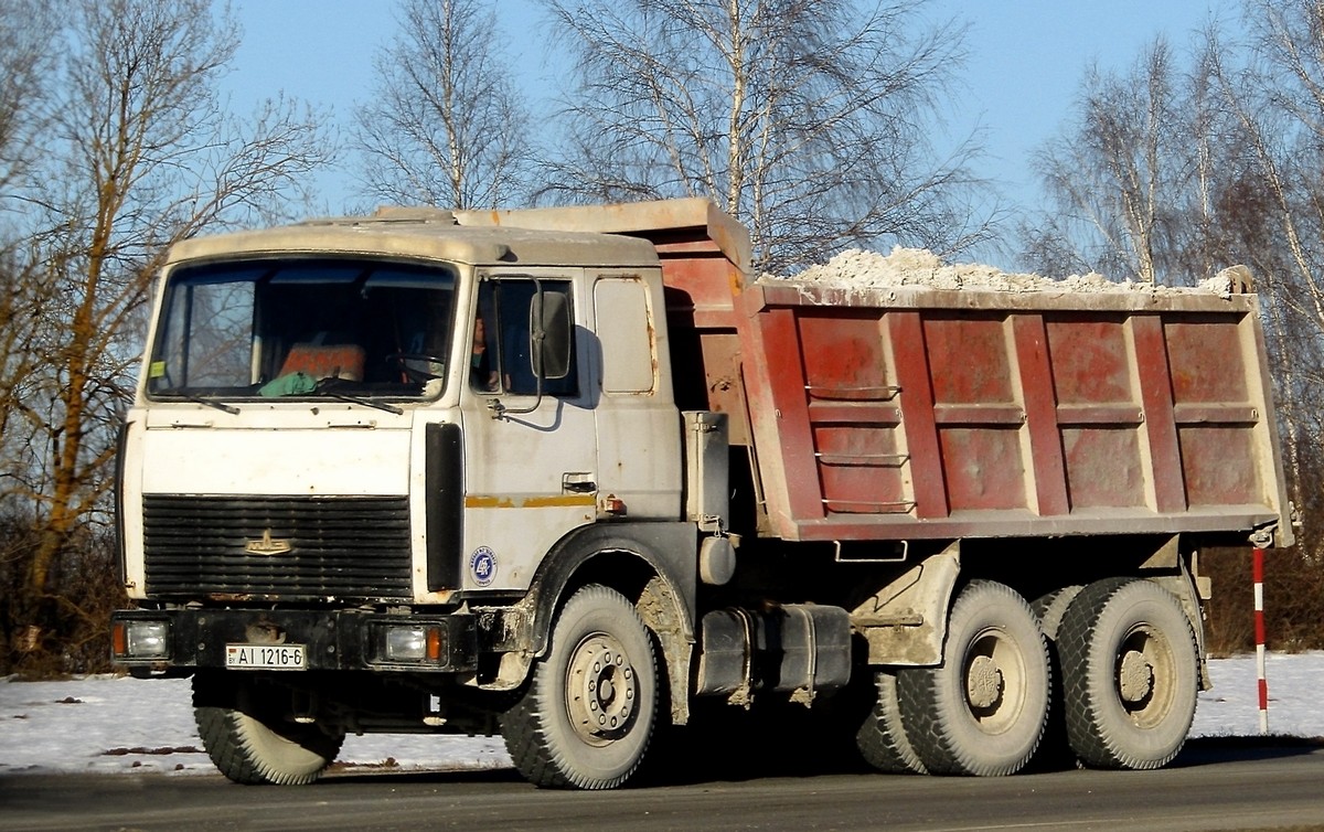 Могилёвская область, № АІ 1216-6 — МАЗ-5516 (общая модель)