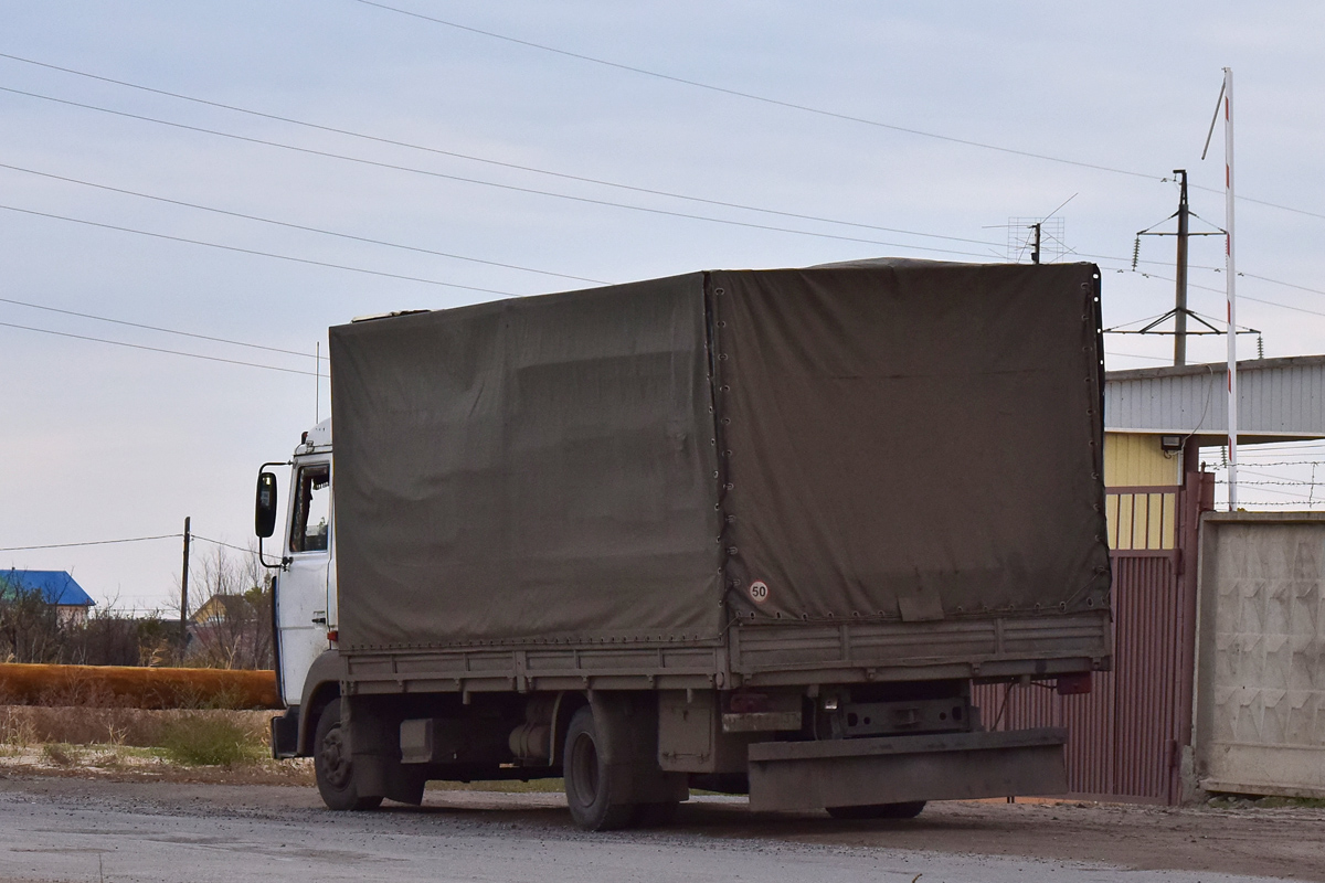 Волгоградская область, № Н 121 ТВ 37 — МАЗ-437041 "Зубрёнок"