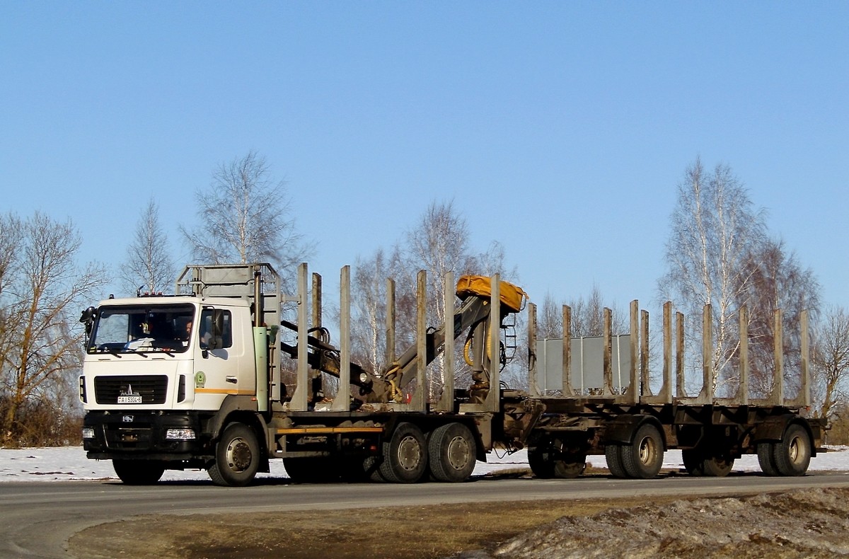 Могилёвская область, № АІ 5304-6 — МАЗ-6312B9