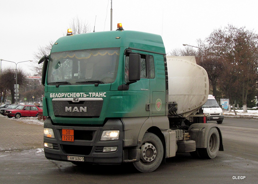 Гомельская область, № АМ 1494-3 — MAN TGX ('2007) 18.440