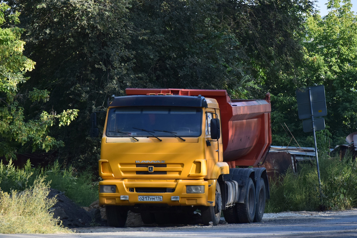 Волгоградская область, № О 217 УМ 116 — КамАЗ-65116-N3