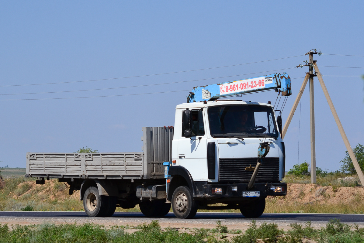 Волгоградская область, № Х 822 РВ 161 — МАЗ-437041 "Зубрёнок"