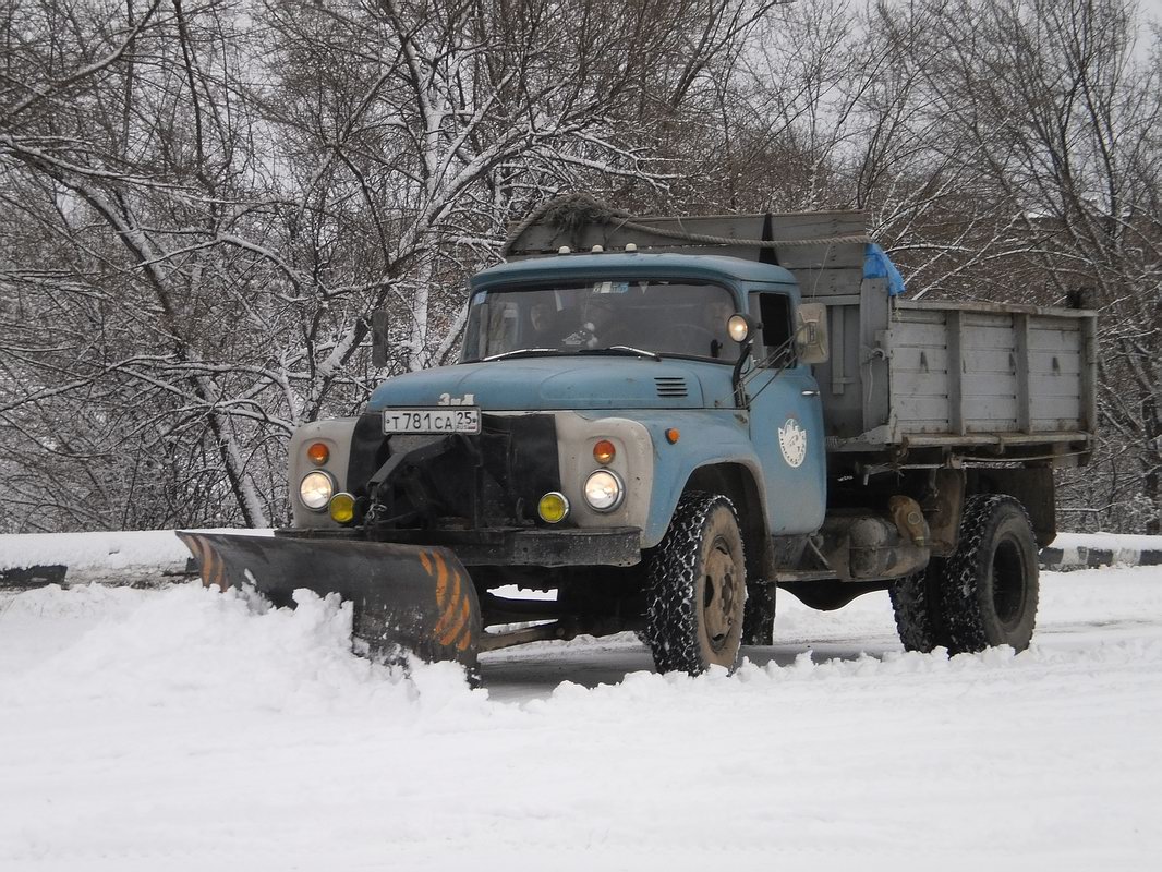 Приморский край, № Т 781 СА 25 — ЗИЛ-495710