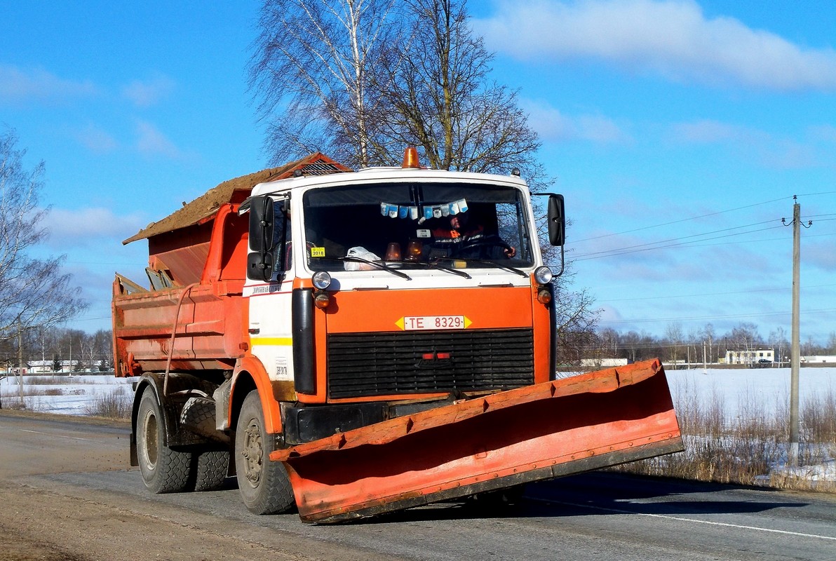 Могилёвская область, № ТЕ 8329 — МАЗ-5551 (общая модель)