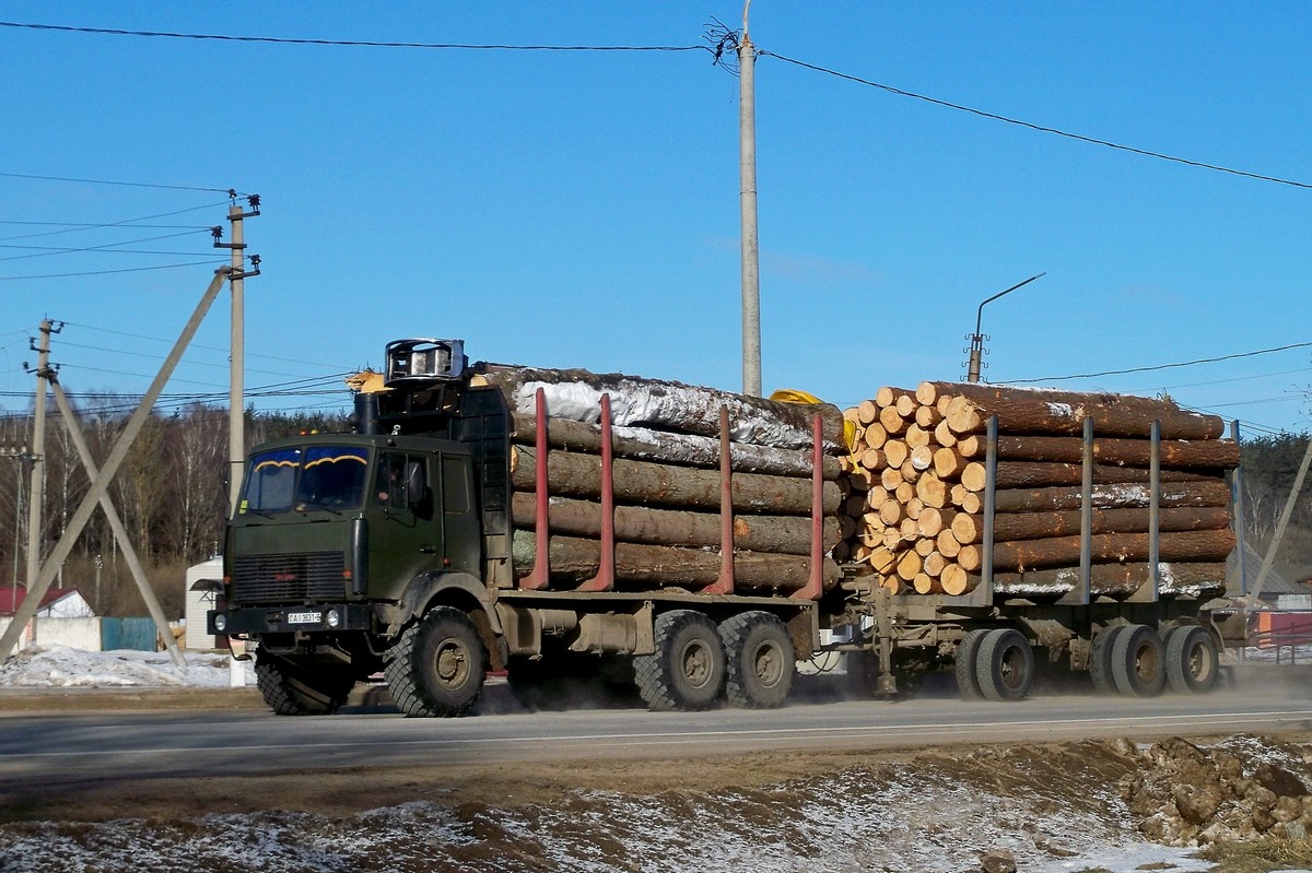 Могилёвская область, № АІ 3631-6 — МАЗ-6317 (общая модель)