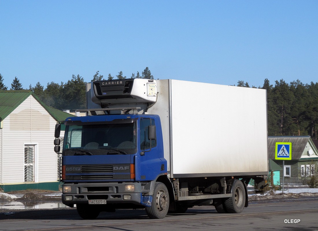 Минская область, № АС 5377-5 — DAF 65 (CF) FA