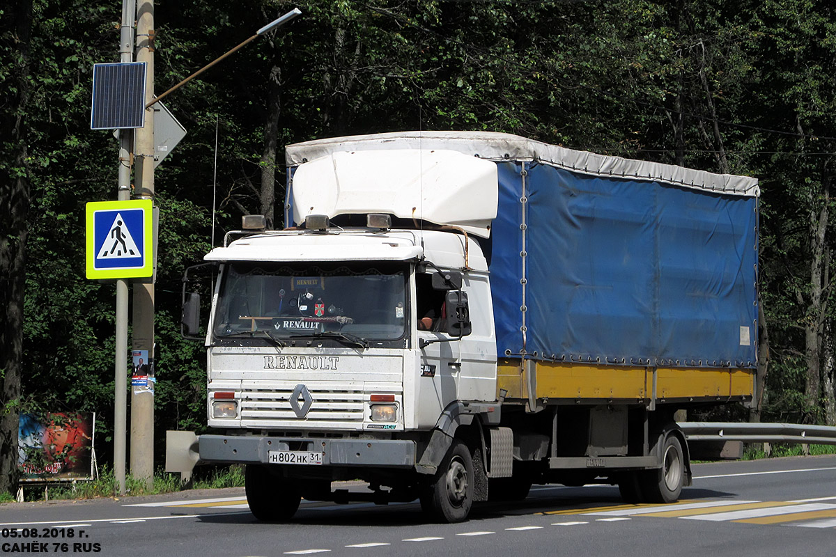 Белгородская область, № Н 802 НК 31 — Renault Midliner