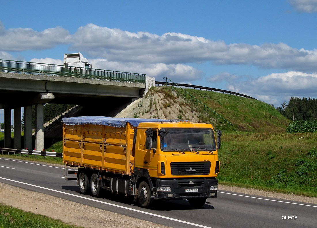 Витебская область, № АК 2131-2 — МАЗ-6501A8