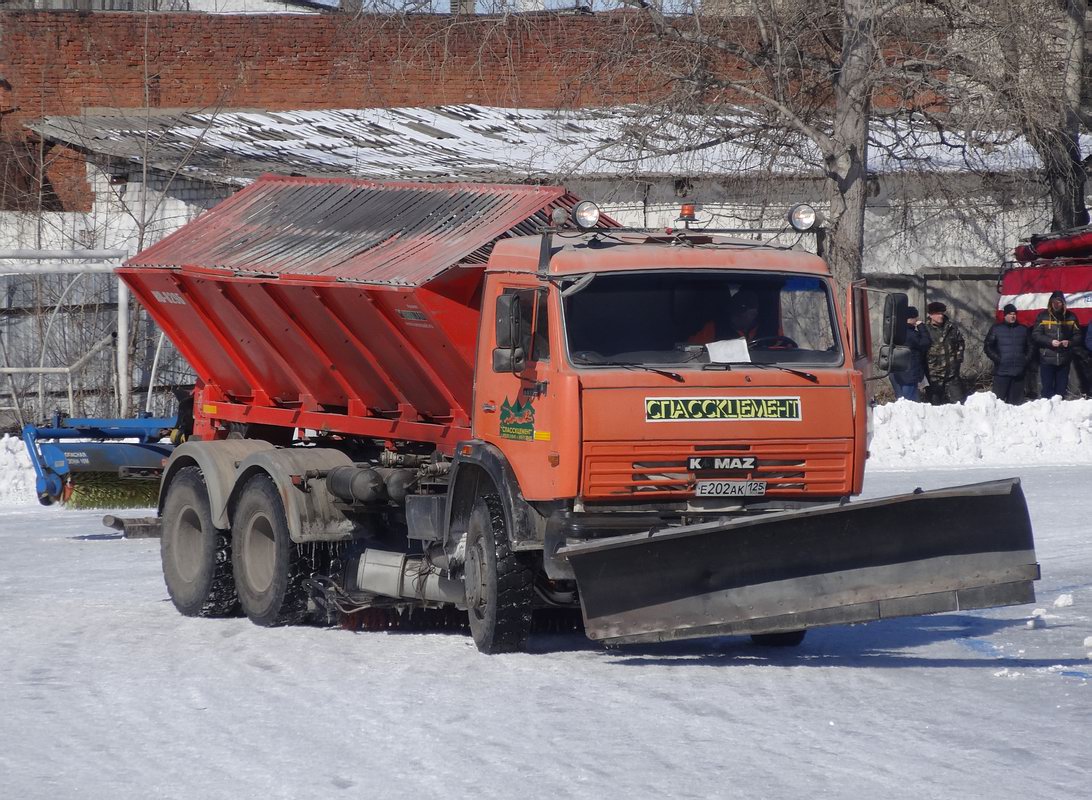 Приморский край, № Е 202 АК 125 — КамАЗ-65115-D3