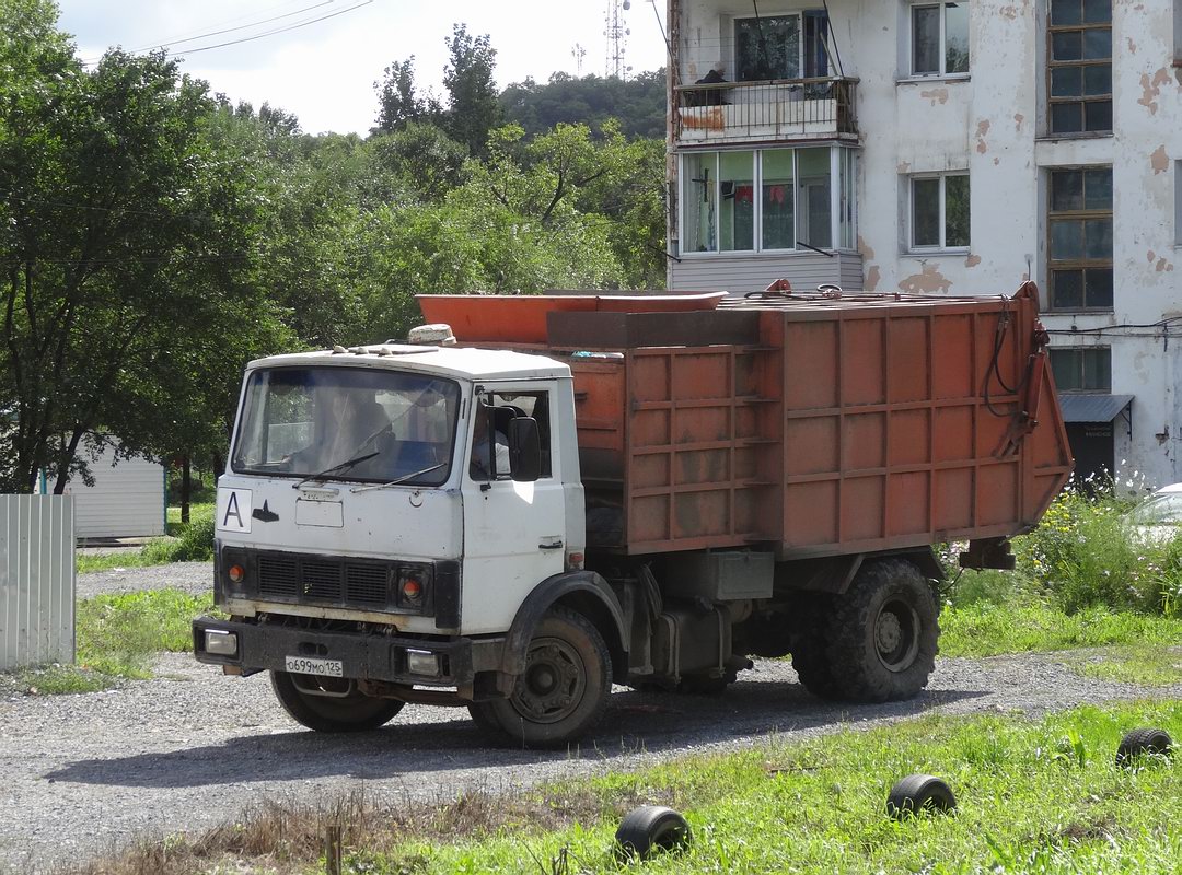 Приморский край, № О 699 МО 125 — МАЗ-5337 (общая модель)