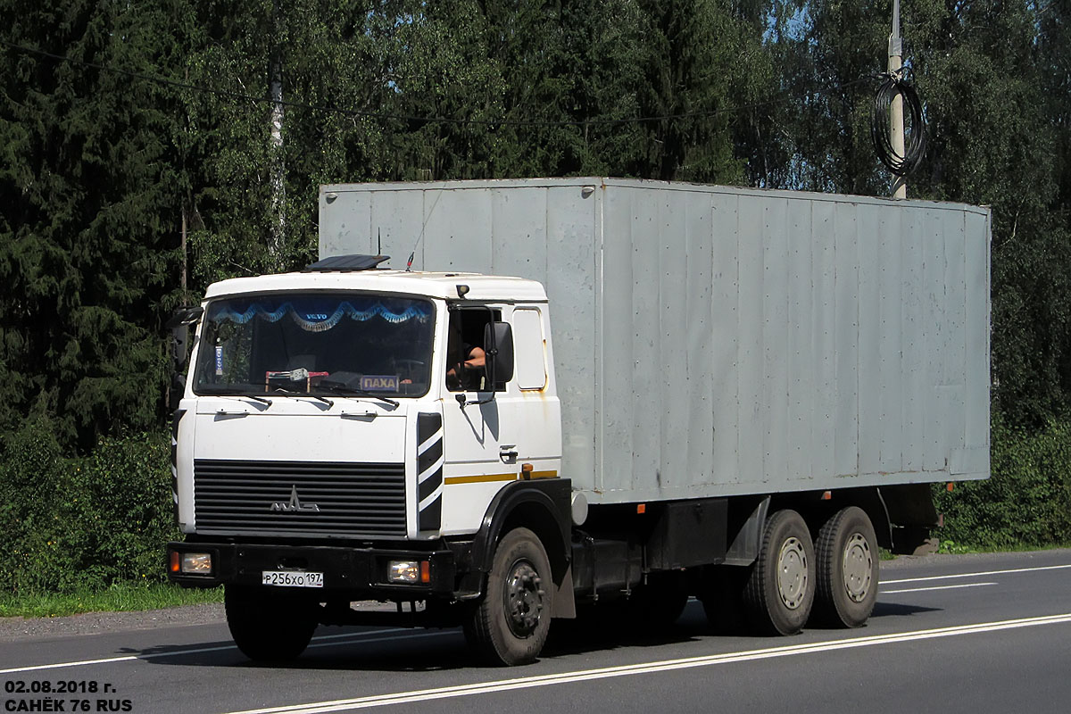 Москва, № Р 256 ХО 197 — МАЗ-6303A5