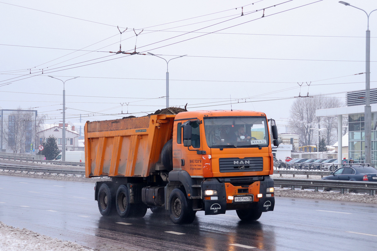 Калининградская область, № Р 801 МО 39 — MAN TGA 33.350