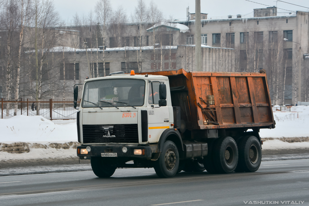 Архангельская область, № 6601 — МАЗ-551605