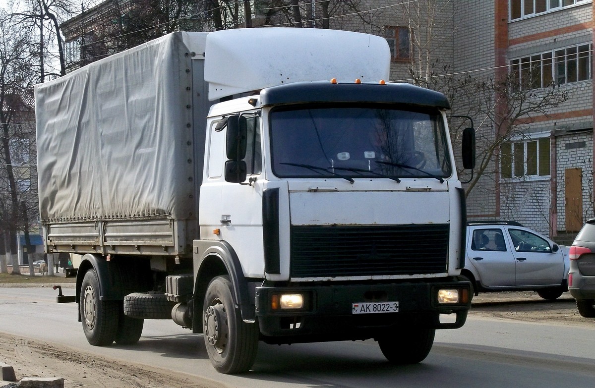 Гомельская область, № АК 8022-3 — МАЗ-5336 (общая модель)