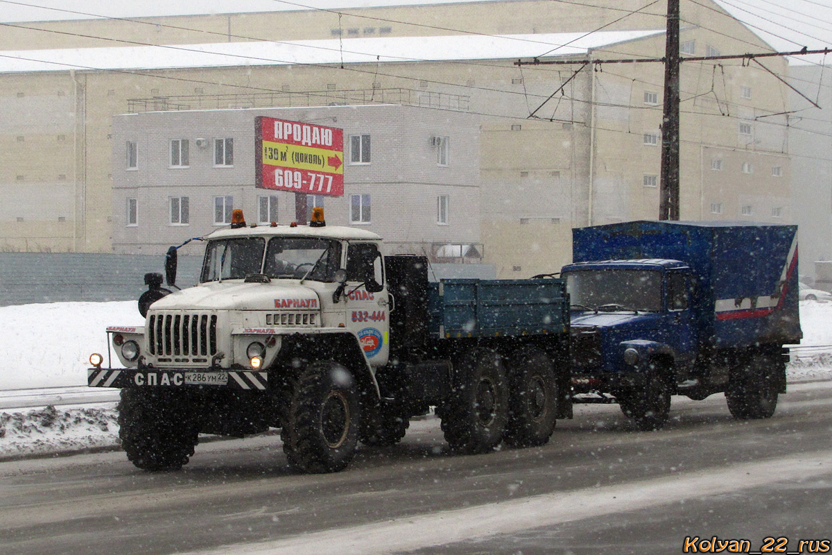 Алтайский край, № К 286 УМ 22 — Урал-43202