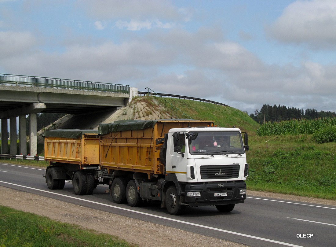 Витебская область, № АК 2165-2 — МАЗ-6501B9